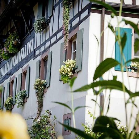 Weingut Alfred Huber Apartment Durbach Ngoại thất bức ảnh