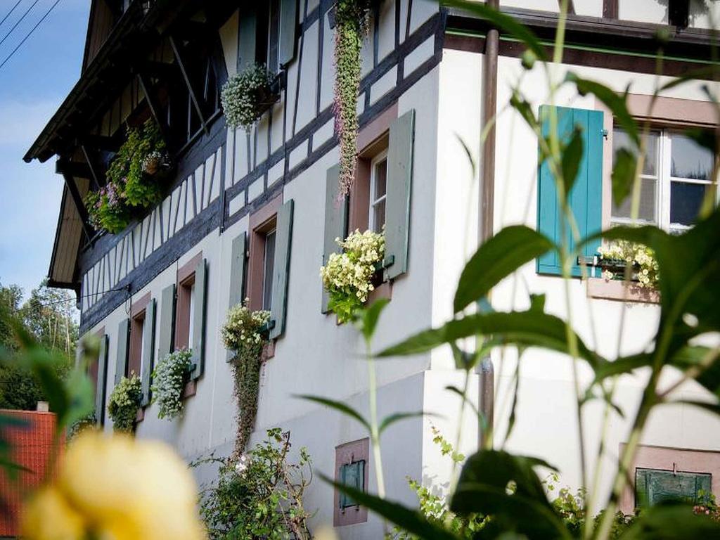 Weingut Alfred Huber Apartment Durbach Ngoại thất bức ảnh