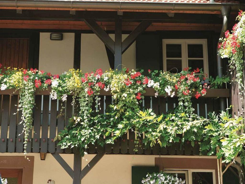 Weingut Alfred Huber Apartment Durbach Ngoại thất bức ảnh